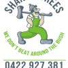 Shane's Trees