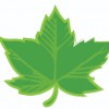 Frontier Tree Services