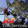A & J Tree Services