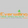 Everwilling Tree Specialists