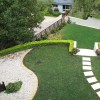 Scenic Blue Design