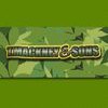 T.mackney & Sons Tree Services