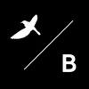 Birdblack Design