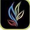 Angel Carpet Cleaning Sydney