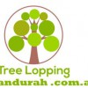 Tree Lopping Mandurah