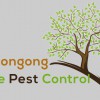 Pest Control Wollongong