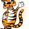 Tiger Antennas