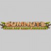Gum Nuts Tree & Stump Removals