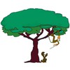 A Bark Up The Right Tree