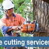Tree Craft NSW