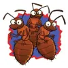 Termites@cooloola