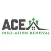 ACE Insulation Removal