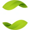 Evergreen Management Group