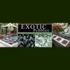 Exotic Pebbles