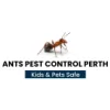 Ants Pest Control Perth