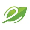 E-Green Insulations