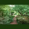Hillview Gardening & Landscaping