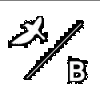 Birdblack Design