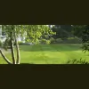 Wide Bay Lawn Services