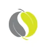 Scape Constructions