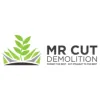 Mr Cut Demolition