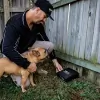 Bernie's Pest Control