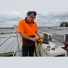 DK AIR