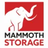 Mammoth Self Store