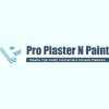Professional Plaster N Paint