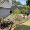 Amanzi Wholesale Nursery