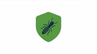 Termite Treatment