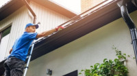 Gutters and Downpipes